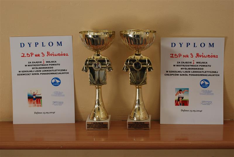 Drużynowe Mistrzostwa Powiatu w Lekkiej Atletyce – Dębno 2014